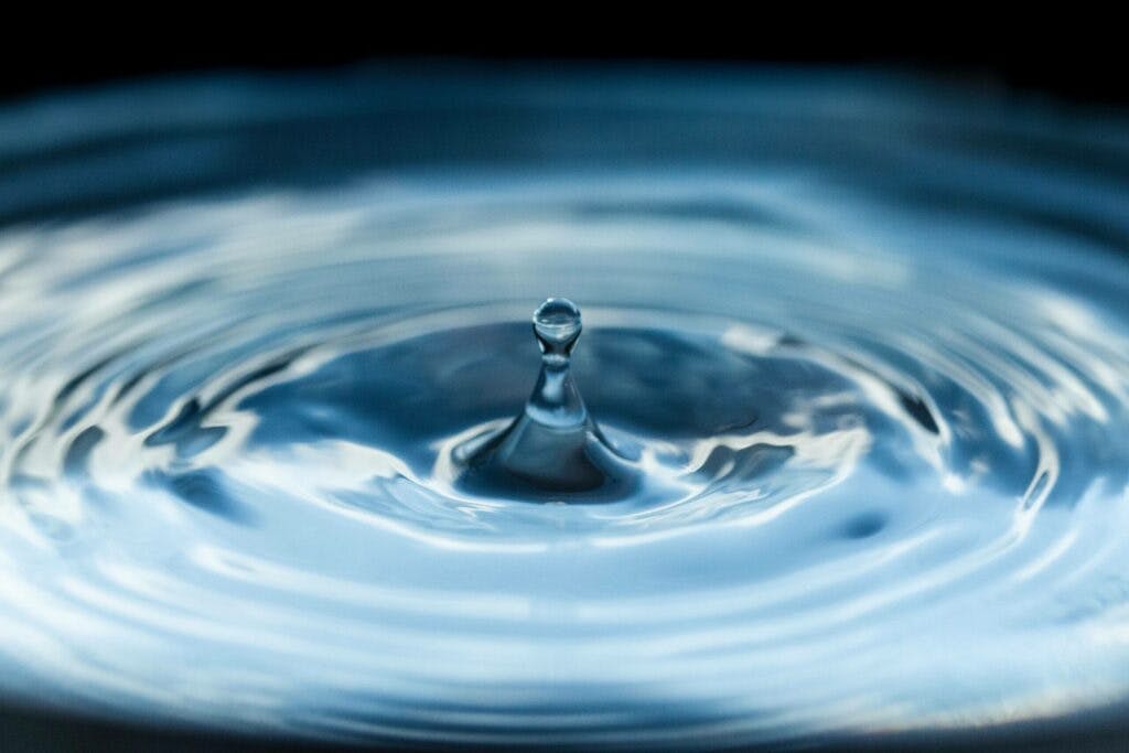 Water.