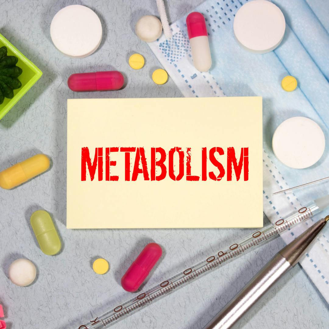 metabolizm