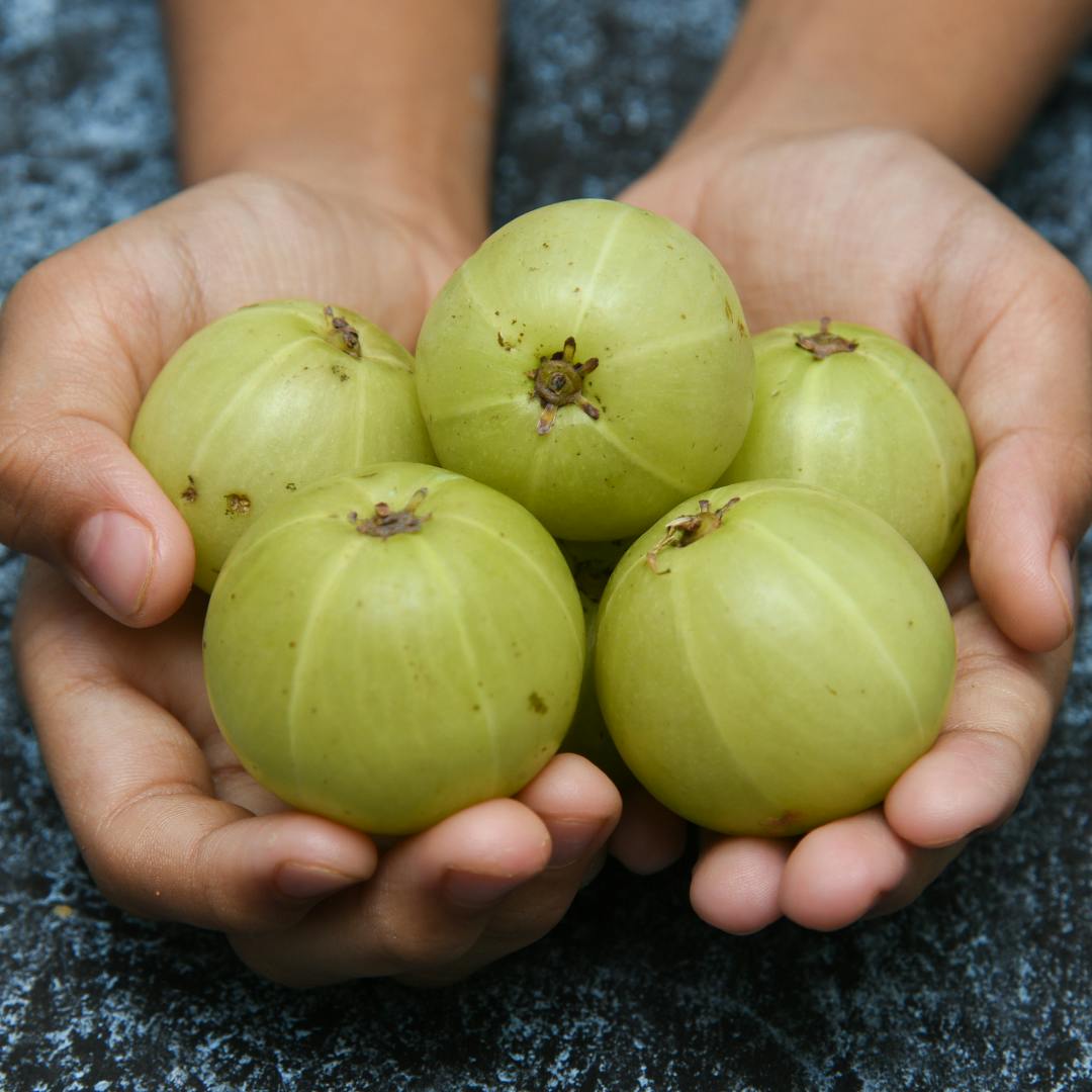 amla